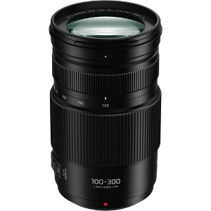 Panasonic Lumix G Vario 100-300mm f/4-5.6 II POWER O.I.S. Lens - 1 of 4