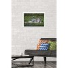 Trends International The Comedy Wildlife Photography Awards: Delphine Casimir - The Rainforest Dandy Framed Wall Poster Prints - 2 of 4