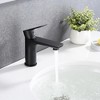 ALEXOUN  Single Handle Lavatory Basin Sink Faucet - 4 of 4
