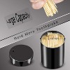 Stainless Steel Metal Toothpick Holder Dispenser, Container with 500 Bamboo Round Toothpicks for Teeth & Kitchen, Black - 3 of 4