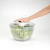 Aoibox 6.2 qt. Large Good Grip Glass Salad Spinner SNPH002IN421 - The Home  Depot