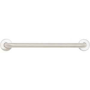 Seachrome Stainless Steel Wall Mount Bathroom Shower Grab Bar - 1 of 1