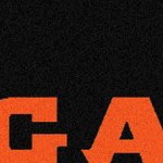 cincinnati bengals