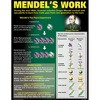 McDonald Publishing DNA & Heredity Posters, Set of 4 - 3 of 4
