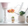 Silver Buffalo The Golden Girls Sophia Face Mini Ceramic Planter With Faux Succulent | 3 Inches - 3 of 4