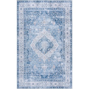 Arizona ARZ320 Power Loomed Machine Washable Skid Resistant Indoor Rugs - Safavieh - 1 of 4