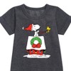 - Peanuts - Snoopy & Woodstock House Sleigh Graphic Short Sleeve Fleece Dress - 2 of 4