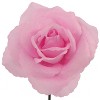 Floral Home 8" Pick Pink Rose - 50-Piece - 2 of 4