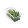 Good Natured Products 2 - 3 oz. Top Seal Hanging Fresh Herb & Microgreen - Package Clear Good Natured Compostable PLA - Case of 260 - 2 of 3