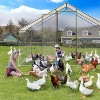 Large Metal Chicken Coop with Waterproof Cover,Walk-in Chicken Runs for Yard, Galvanized Wire Poultry Chickens Hen Pen Cage - 2 of 4