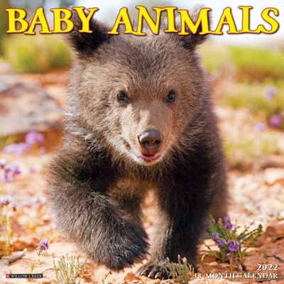 2022 Wall Calendar Baby Animals - Willow Creek Press