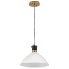Lark Simon 1 - Light Pendant in  Black - 3 of 4