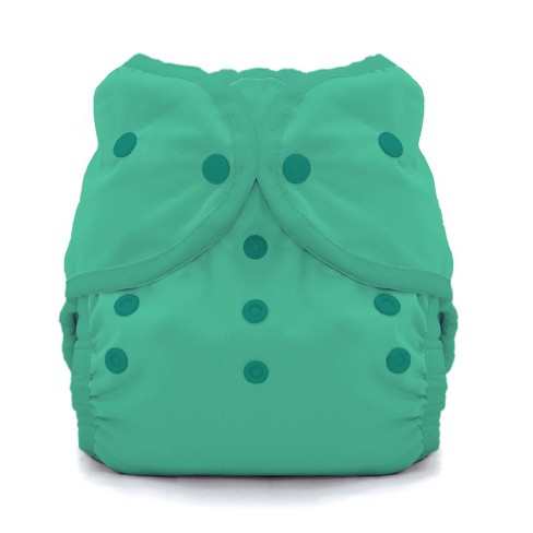 Thirsties  Duo Wrap Snap Pack Of 1 - Seafoam Multicolored Diaper