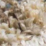 mustard, teal, tan, dark red, paleblue, mediumgray