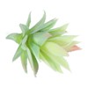 Unique Bargains Mini Unpotted Realistic Textured Garden Decoration Fake Succulent Plants - 3 of 4