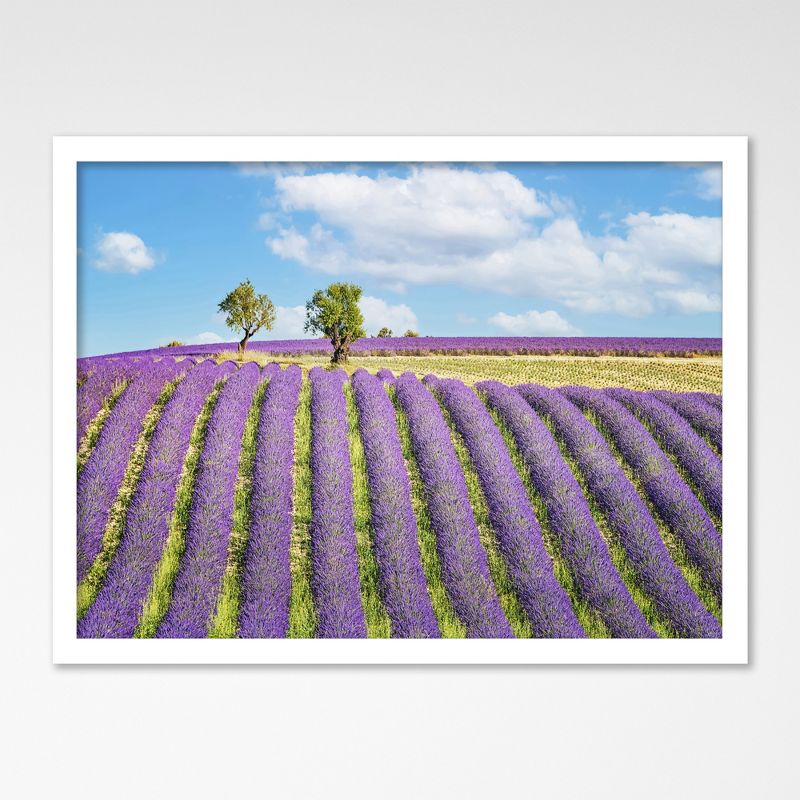 Americanflat Modern Wall Art Room Decor - Provence by Manjik Pictures, 1 of 7
