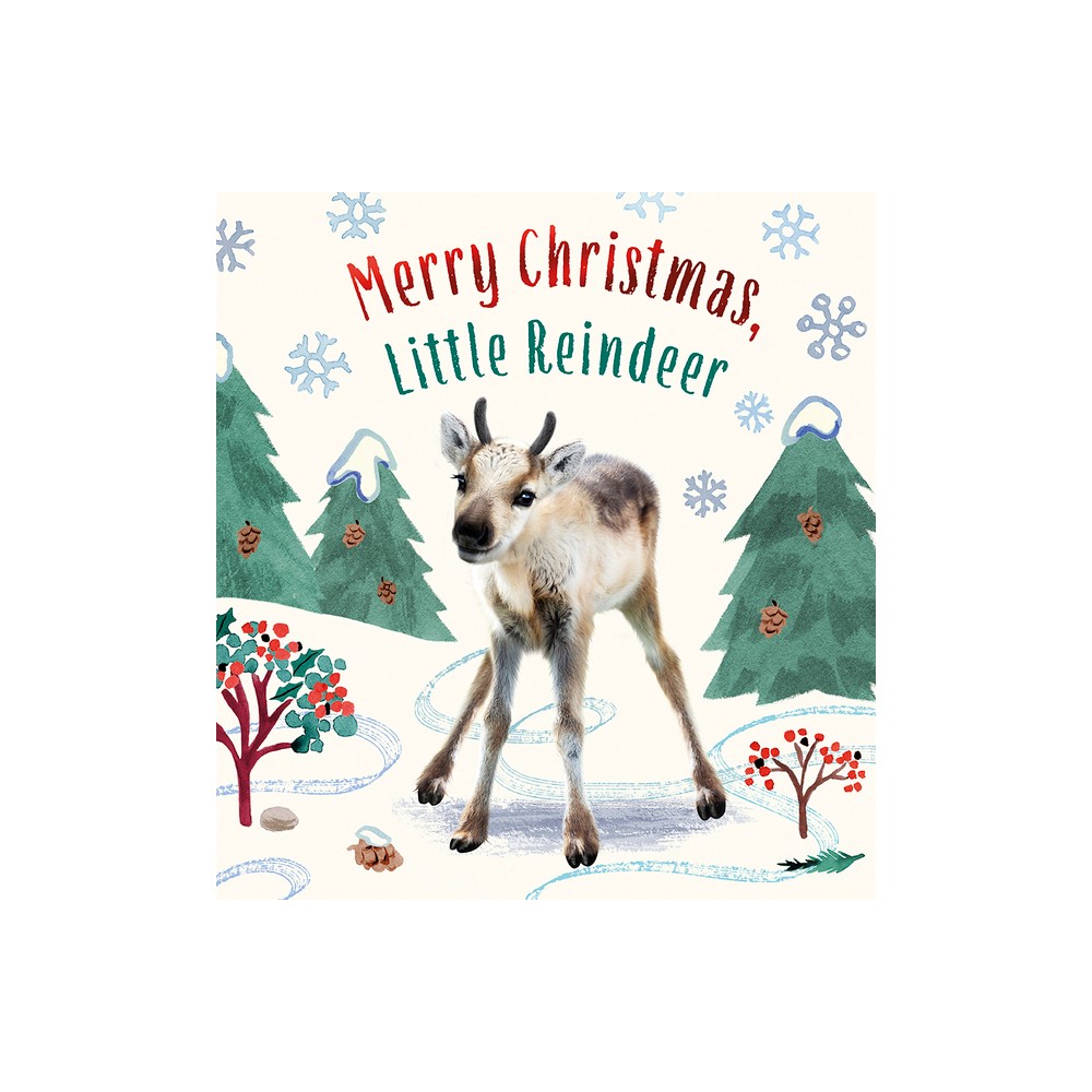 Merry Christmas, Little Reindeer - (Baby Animal Tales) by Amanda Wood (Board Book)