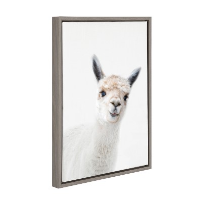Gray Framed Canvas Print of Alpaca for Nursery