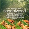 Air Wick Vibrant Scented Oil Air Freshener Refills Sweetgrass & Sandalwood - 1.34 fl oz/2pk - 4 of 4