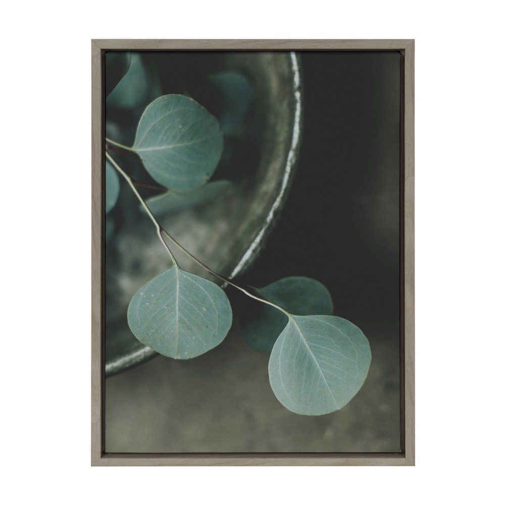 Photos - Wallpaper 18" x 24" Sylvie Still Life of Eucalyptus Framed Canvas by Alicia Abla Gra