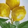 Elrene Vintage Lemon and Citrus Blooms Printed Vinyl Indoor/Outdoor Tablecloth - Elrene Home Fashions - 4 of 4