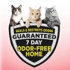 Arm & Hammer Clump & Seal Multi-Cat Litter - 4 of 4