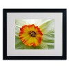 Trademark Fine Art - Kathie McCurdy 'Furnace Run Daffodil Large' Matted Framed - 2 of 3