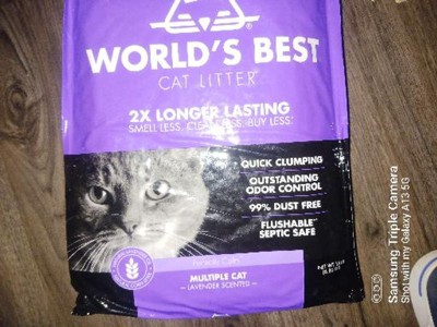 World's best store cat litter target