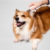 Natural Dog Company Grooming Dog Wipes - XL - 50ct - 3 of 4