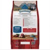 Blue Buffalo Wilderness Rocky Mountain Recipe High Protein Natural Adult Dry Dog Food Beef with Grain - 4.5lbs - 2 of 4