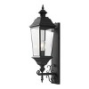 Braden Outdoor Wall Sconce - PLT4084 - Black - Safavieh - 2 of 4