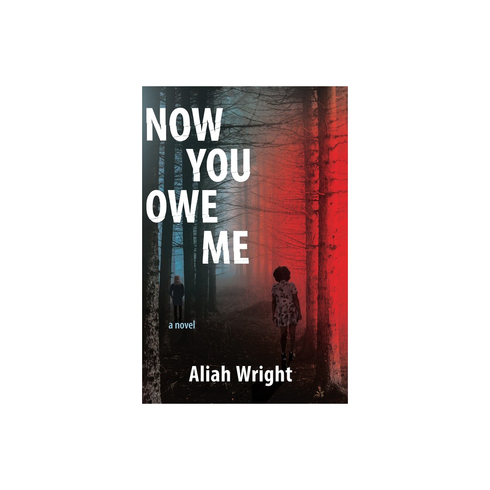 Now You Owe Me - by Aliah Wright (Paperback)