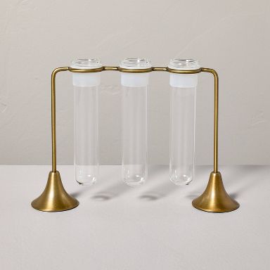 Brass and Glass Plant Propagation Vase Set - Hearth & Hand™ with Magnolia