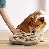 Wonder Meadow - Hide N' Slide Treat Puzzle Dog Toy - 3 of 4