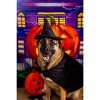 Midlee Halloween Witch Cape and Hat Dog Costume - image 3 of 4