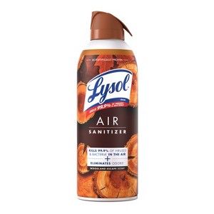 Lysol Aerosol Air Sanitizer - Woodland Escape - 10oz - 1 of 4
