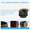 SpassWay 15" Dia Outdoor Indoor Ceramic Planter Pot Decorative Planter with Drainage Hole Patio Flower Pot - 4 of 4