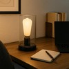 Festive Living G125 + LED Filament Outdoor Covered Patio Pendent Edison Replacement Bulbs, Warm White 2700K, E26 Medium Base - 3 of 4