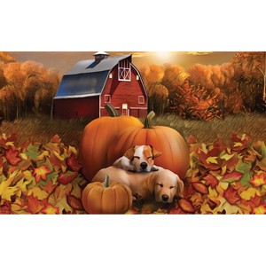 Briarwood Lane Doormat 30x18 Indoor Outdoor Welcome Fall Puppies For Fall Doormat - 1 of 4