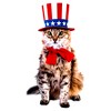 Men's Lost Gods Fourth of July Uncle Sam Cat T-Shirt - 2 of 4
