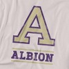 Men's Albion College Official Distressed Primary Logo T-Shirt - 2 of 4