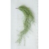 Artificial Green Moss – 6" Tall Decorative Plant Filler by Kalalou - 3 of 3