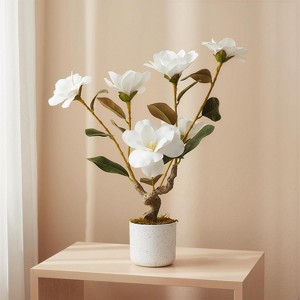 2 Pack Artificial Magnolia Tree,Realistic Faux Pink Plant with 12 Bloomings,Sturdy White Pot,Realistic Magnolia Grandiflora for Living Room,Office - 1 of 4