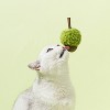 ZEZE Green Acorn Catnip Toy with Matatabi stick-Green - 4 of 4