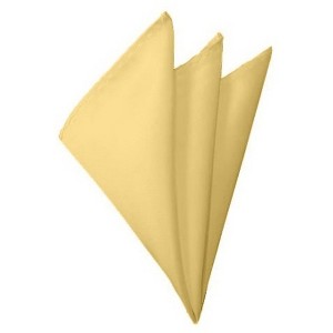 TheDapperTie - Men's Solid Color 10 Inch x 10 Inch Pocket Squares Handkerchief - 1 of 3