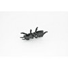 Collectible Wildlife Gifts | Ant, Black,  Very Nice Plastic Reproduction    1 1/2"   F6090 B381 - 4 of 4