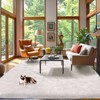Soft Fluffy Shag Rug for Living Room or Bedroom, Plush Non-Slip Carpet for Home or Dorm Decor - 3 of 4
