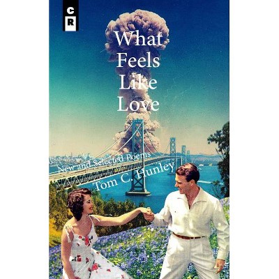 What Feels Like Love - by  Tom C Hunley (Paperback)