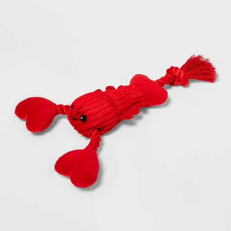 10&#34; Valentines Rope &#38; Lobster Plush Dog Toy - Boots &#38; Barkley&#8482;, 1 of 5