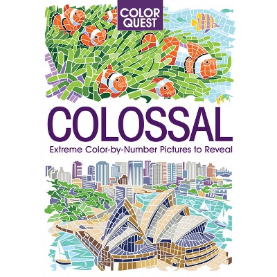 Color Quest: Colossal - by  Daniela Geremia (Paperback)
